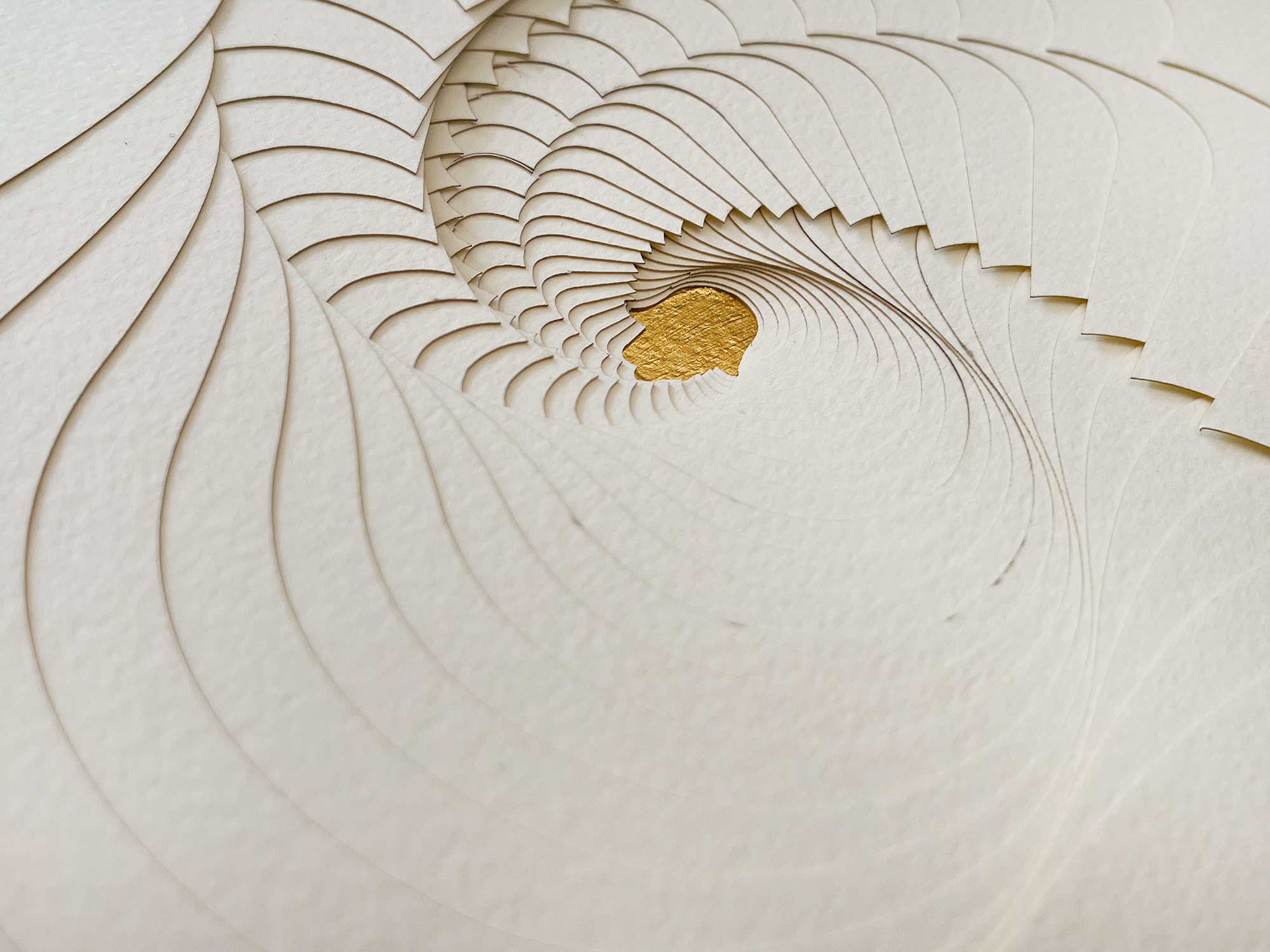 Hamsa Ketubah - Image 12