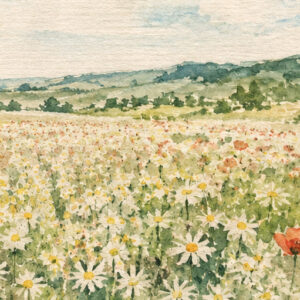 Galil Wildflower Ketubah Print featuring a watercolor landscape of open fields, colorful wildflowers, and a soft blue sky.